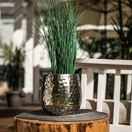 The Mint - Saint 호텔 스베티 블라스